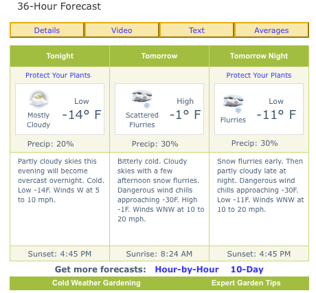 36-hour forecast for Bottineau, ND: Tonight low -14°F mostly cloudy; Tomorrow high -1°F scattered flurries; Tomorrow night low -11°F flurries. Dangerous wind chills approaching -30°F.