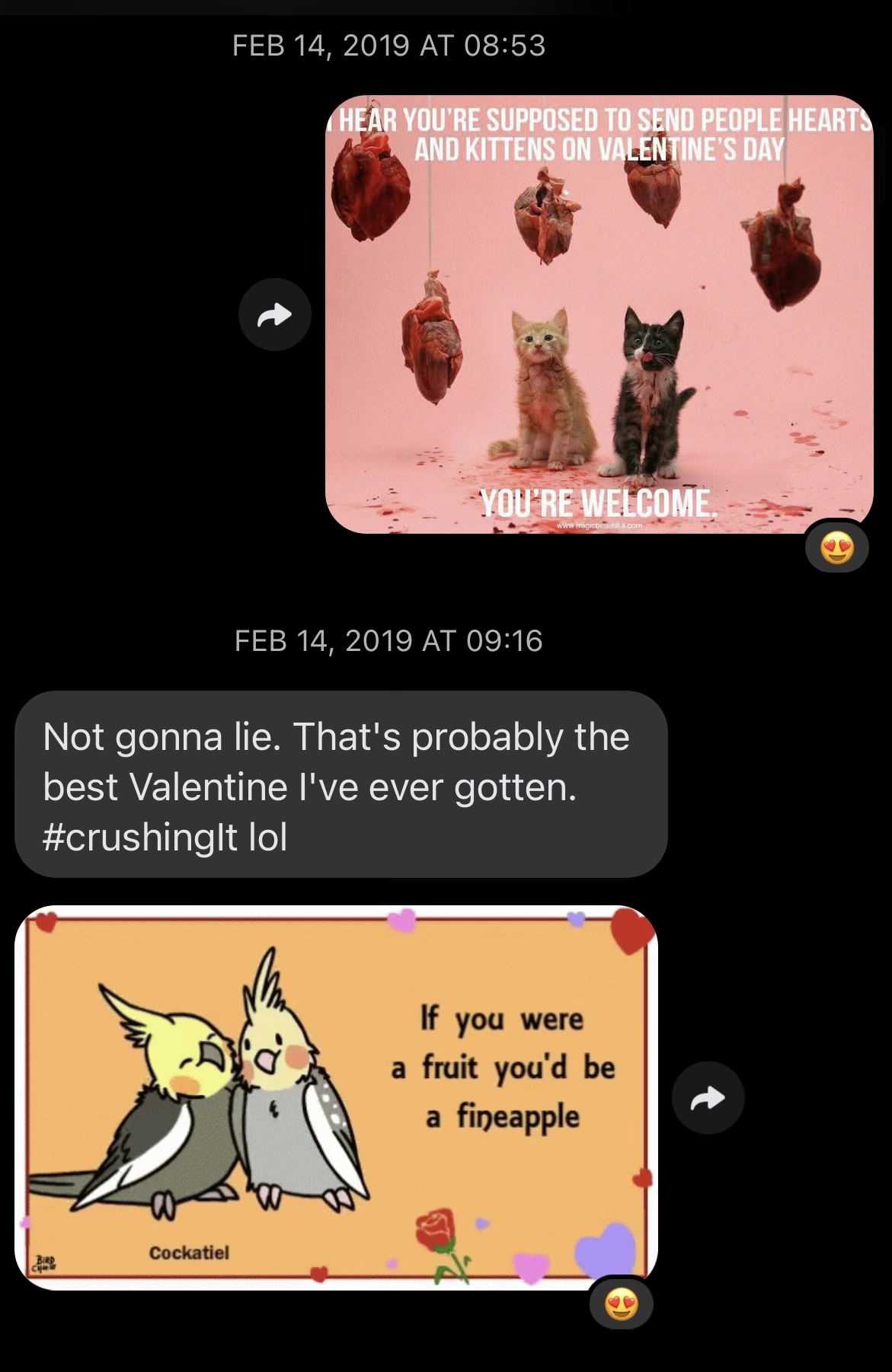 Two Messenger screenshots from Valentine's Day, Feb 14 2019. First: a meme showing anatomical hearts and kittens with text 'Hear you're supposed to send people hearts and kittens on Valentine's Day / You're welcome,' received with a heart-eyes reaction. Second at 09:16 — Coworker: 'Not gonna lie. That's probably the best Valentine I've ever gotten. #crushingIt lol,' followed by a Valentine's card of two cockatiels with the pun 'If you were a fruit you'd be a fineapple.'