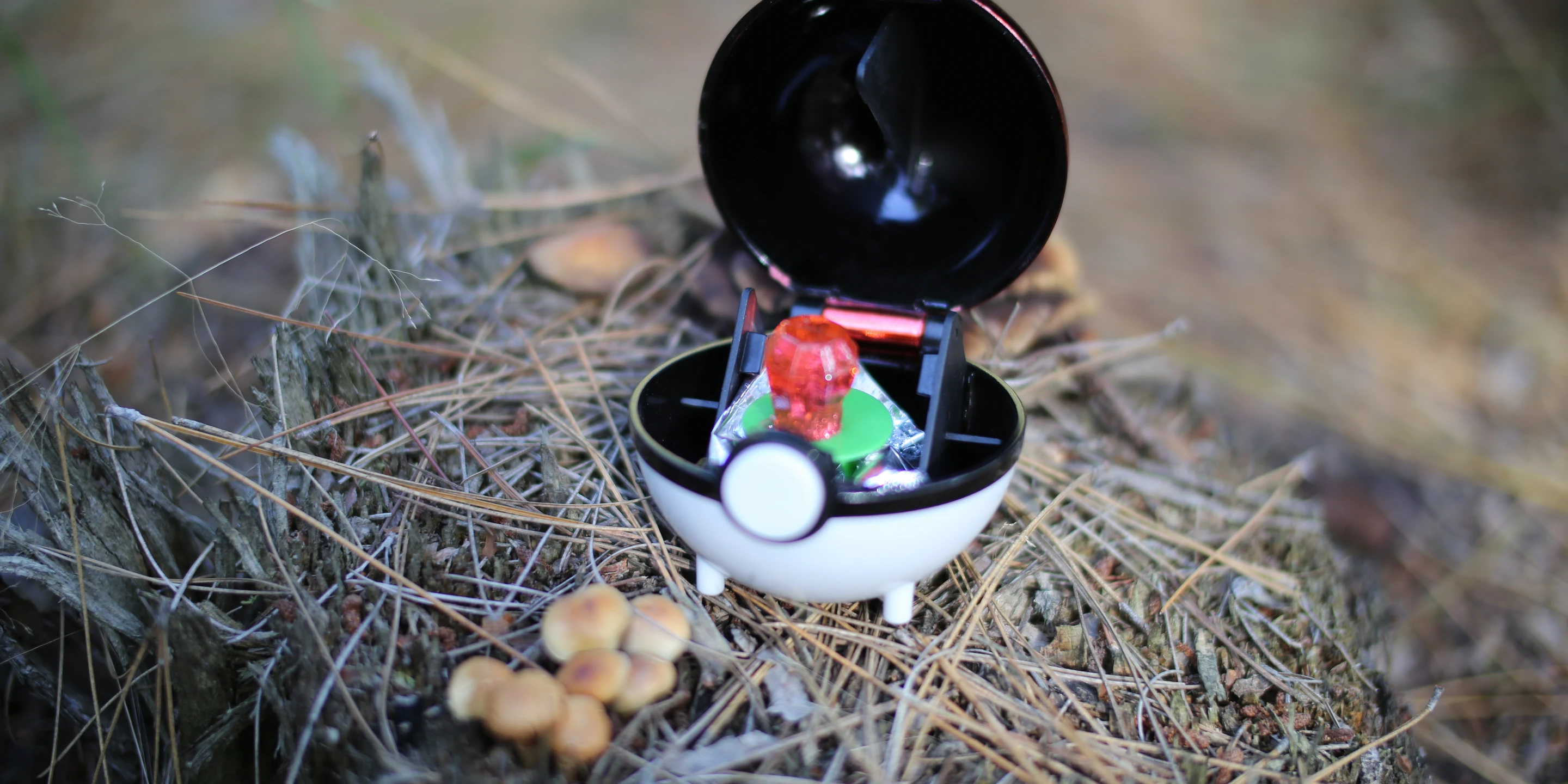 An open Pokéball toy resting on a forest floor of pine needles, a Ring Pop candy nestled inside as a placeholder engagement ring.